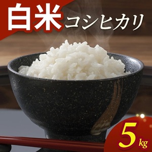 令和7年産[白米]コシヒカリ 5kg(5kg×1袋) YA