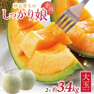 庄内赤肉メロン「しっかり娘」 約3.4kg(赤肉/2玉入/つる付き)
