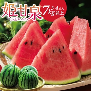 小玉スイカ「姫甘泉」 7kg以上(3〜4玉入)