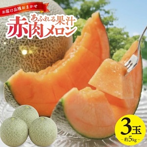 庄内赤肉メロン 約5kg(3玉入)