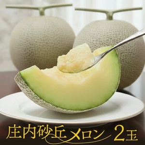 庄内砂丘メロン(青肉) 2玉 2.6kg以上 つる付き
