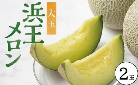 SA2923　酒田の果物専門店厳選　庄内砂丘 浜王メロン大玉　2.8kg以上(2玉入)