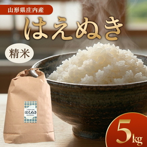 SA2914　令和7年産【精米】はえぬき　5kg(5kg×1袋) GS