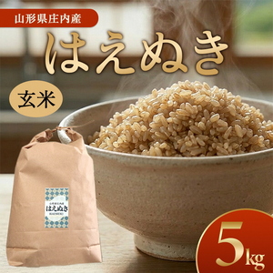 SA2915　令和7年産【玄米】はえぬき　5kg(5kg×1袋) GS