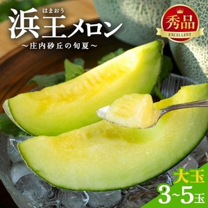 庄内砂丘の旬夏 「浜王メロン」 約5kg(青肉/3〜5玉入)