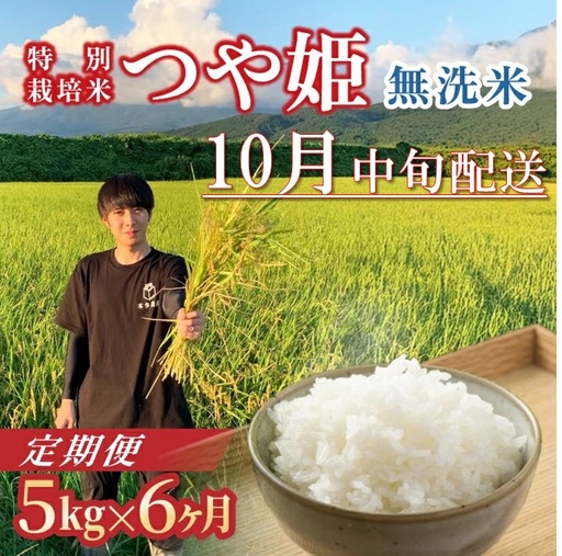10月中旬発送開始/[6回定期便]令和8年産 [無洗米]つや姫 5kg×6回(計30kg) 農家直送 HO