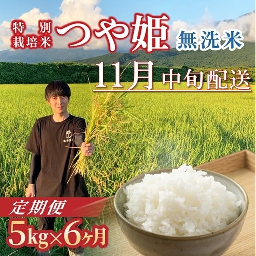 SH0071　11月中旬発送開始／【6回定期便】令和8年産 ［無洗米］つや姫　5kg×6回(計30kg) 農家直送 HO