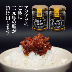 SZ0246　【平田牧場三元豚使用】ご飯にかける生姜焼き　計2個(80g×2個)