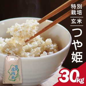 令和5年産[玄米]特別栽培米 つや姫 30kg×1袋[太ももの会] FU
