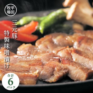 SA0545　日本の米育ち　平田牧場　三元豚特製味噌漬け6枚