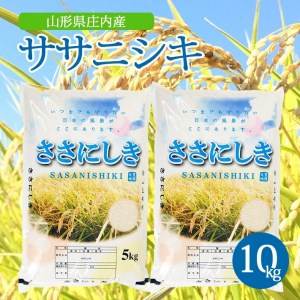 SC0532　令和6年産【精米】ササニシキ　10kg(5kg×2袋) AK