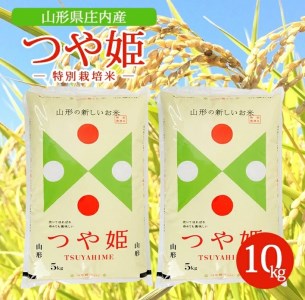 SA1384　令和4年産【精米】特別栽培米 つや姫　10kg(5kg&#215;2袋) AK