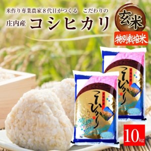 令和6年産[玄米]特別栽培米 コシヒカリ 10kg(5kg×2袋)「農家直送」 KA
