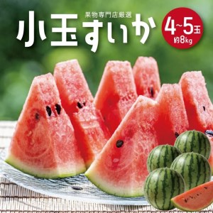 SC0686　酒田の果物専門店厳選　庄内産 小玉すいか　約8kg(4～5玉入)