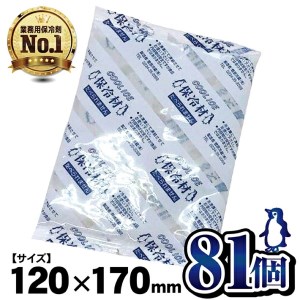 保冷剤 200g×81個