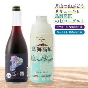 酒田の酒屋厳選 月山の山ぶどうリキュールと鳥海高原のむヨーグルトセット