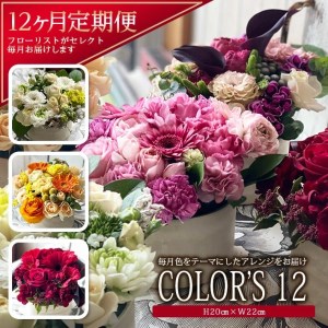 [12回定期便]「COLOR'S12」色で飾るフラワーアレンジ