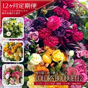 [12回定期便]「COLOR'S BOUQUET12」デザイナーズブーケ