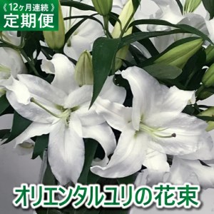 [12回定期便]オリエンタルユリの花束