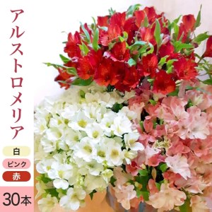 アルストロメリアの花束 計30本(白色、ピンク色、赤色/各10本)