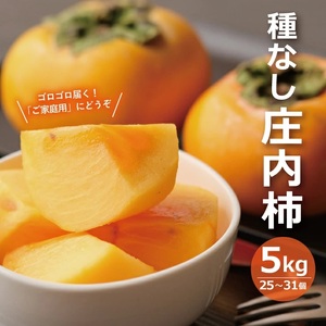 酒田の果物専門店厳選 庄内柿(種なし柿) 約5kg(25〜31玉入)
