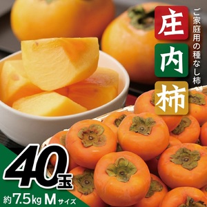 SA2739@`@7.5kg(40ʓ)@MTCY