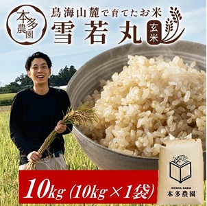 SC0631　令和7年産【玄米】雪若丸　10kg(10kg×1袋) HO