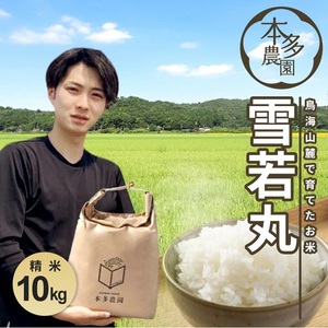 SC0641�@�ߘa7�N�Y�y���āz���ہ@10kg(5kg×2��) �_�ƒ��� HO