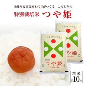 令和6年産[精米]特別栽培米 つや姫 10kg(5kg×2袋)「農家直送」 KA