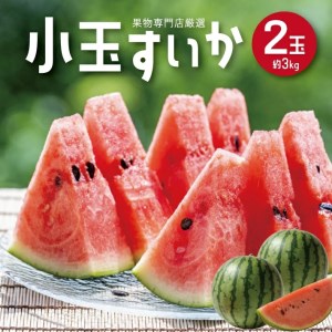 酒田の果物専門店厳選 庄内産 小玉すいか 約3kg(2玉入)