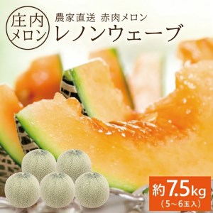 庄内メロン/赤肉 レノンウェーブ 約7.5kg(5〜6玉入)