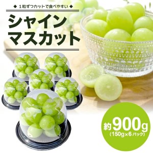 シャインマスカット 約900g(150g×6パック)