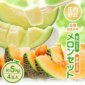 SA2573　庄内砂丘 『青肉・赤肉メロン』セット　約5kg 計4玉(各2玉入) 品種おまかせ