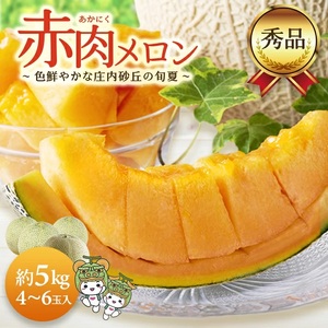 庄内砂丘の旬夏 「秀品 赤肉メロン」 約5kg(4〜6玉入)
