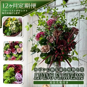 [12回定期便]カビンに飾る緑と枝物と花 「LIVING FLOWER 12」