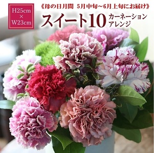 [母の日2025]遅れてごめんね 「スイート10 カーネーションアレンジ」ありがとうママ