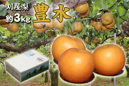 酒田産刈屋梨 和梨[豊水]約3kg(6〜8玉入り)