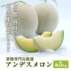 酒田の果物専門店厳選 庄内砂丘アンデスメロン 約5kg(4〜5玉入)