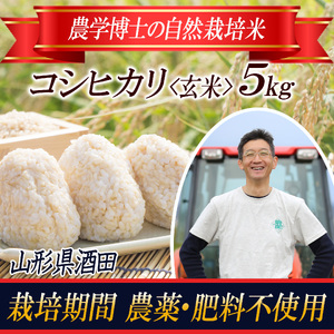 令和5年産[玄米]自然栽培米 コシヒカリ 5kg〔農学博士が育てたお米〕 HA