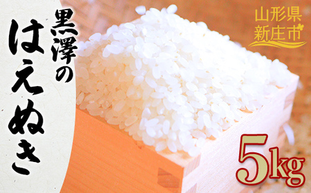 ߘa7NY V̂͂ʂ 5kg    R` Vs F3S-2434