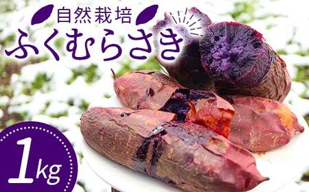 自然栽培 ふくむらさき 1kg サイズ 大〜小混合 さつまいも サツマイモ 芋