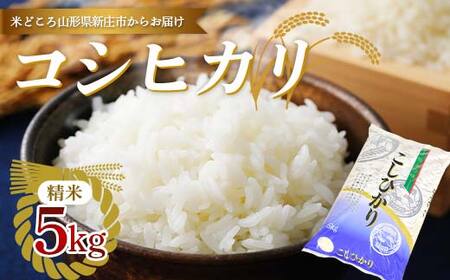 新庄産米 コシヒカリ 精米 5kg お米 コメ F3S-2404