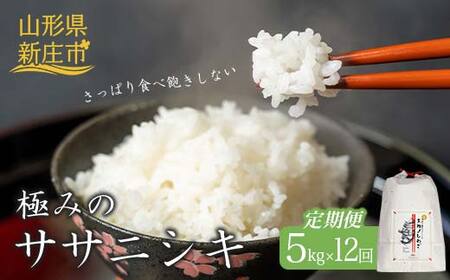  S12 ɂ݂̃TTjVLiāj5kg    ӂ邳Ɣ[ R` Vs F3S-2424