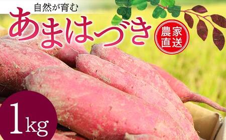 ＜2026年秋収穫分 先行予約＞ 自然が育む『あまはづき』1kg さつまいも サツマイモ 芋 F3S-2643
