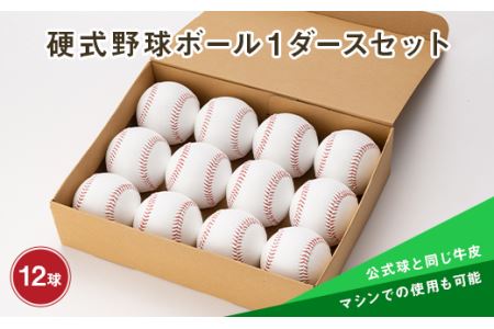 硬式野球ボール1ダースセット 山形県 新庄市 F3S-0594