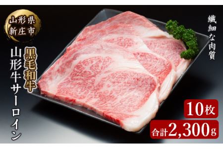 R`T[C10 2300g ɂ    R` Vs F3S-2095