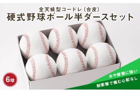 全天候型コードレ（合皮）硬式野球ボール半ダースセット 山形県 新庄市 F3S-0343