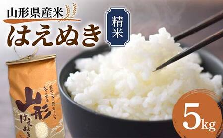 [先行予約]令和7年産 山形県産米 はえぬき 5kg 精米 米 お米 おこめ 山形県 新庄市