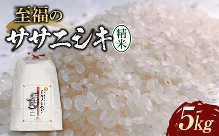 ߘa7NY ̃TTjVLiāj5kg×1    R` Vs F3S-2414