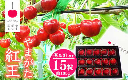 さくらんぼ 「やまがた紅王」3Lサイズ以上 秀品 15粒(約135g)化粧箱 [2025年6月中旬頃から7月上旬頃発送予定]/ 2025年産 令和7年産 山形 山形県 お取り寄せ グルメ フルーツ 果物 果実 くだもの サクランボ 特産 東北 山形